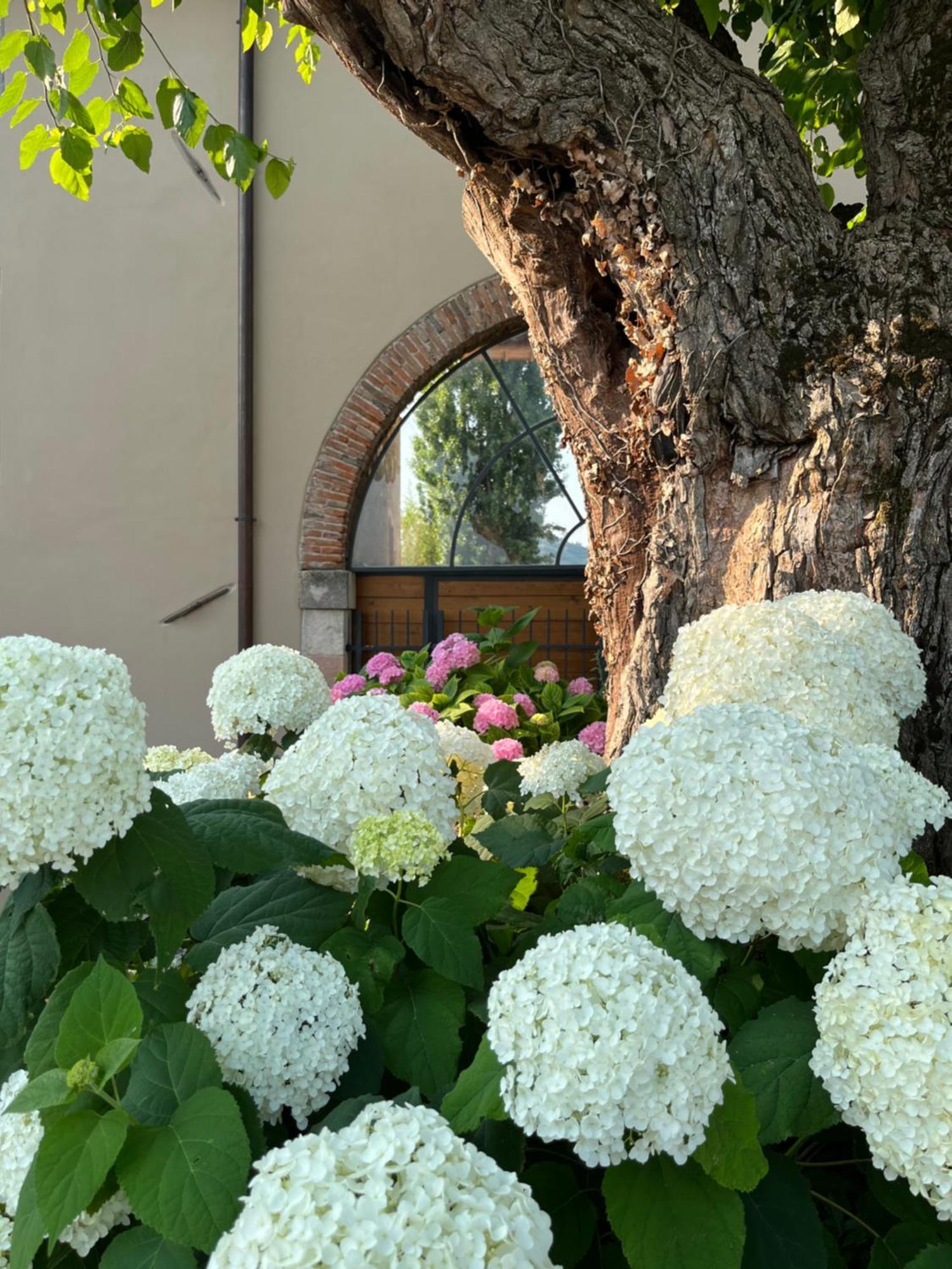 Casa Perazzolo Villa Montecchia di Crosara Eksteriør billede